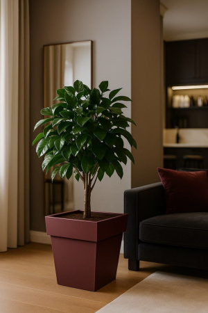 Дизайнерское кашпо 87 л YORTY , шираз (вишня)