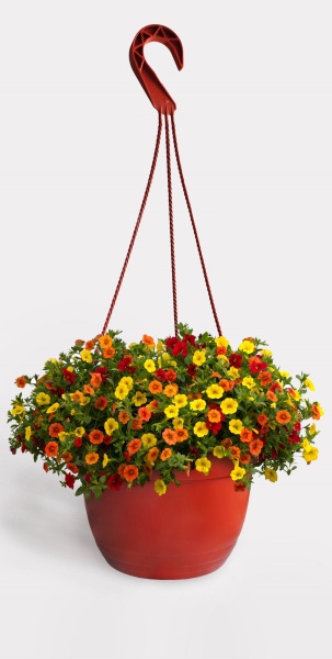 Кашпо 7 л с переливом+подвес ( терракот) (270х195 мм), литье