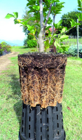 Контейнер 3л (d190 мм, h 155 мм) AIRPOT