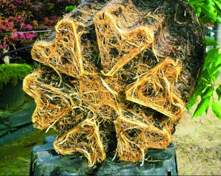 Контейнер 3л (d190 мм, h 155 мм) AIRPOT